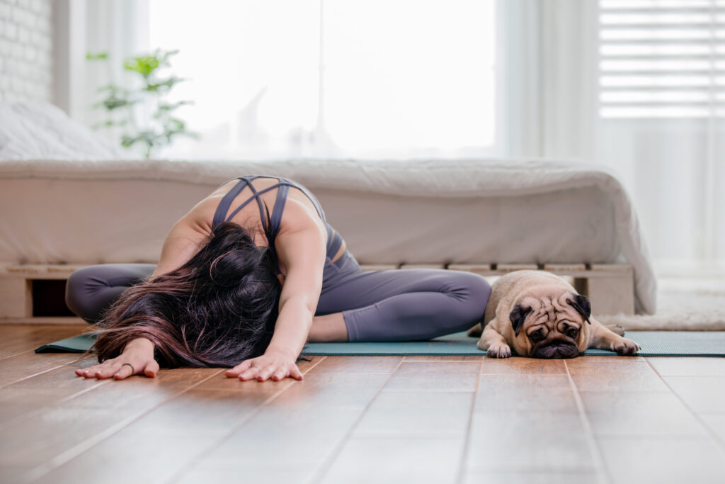 dog yoga with pug