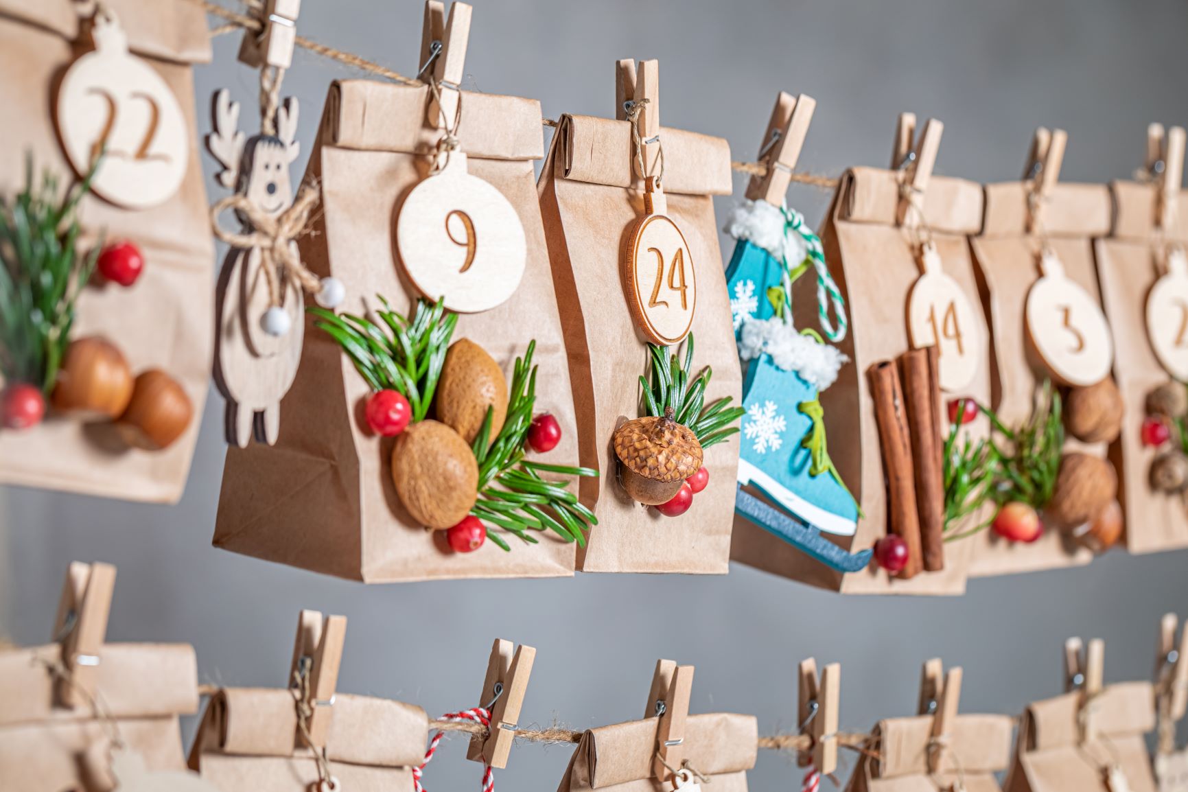 Homemade advent calendar for dogs