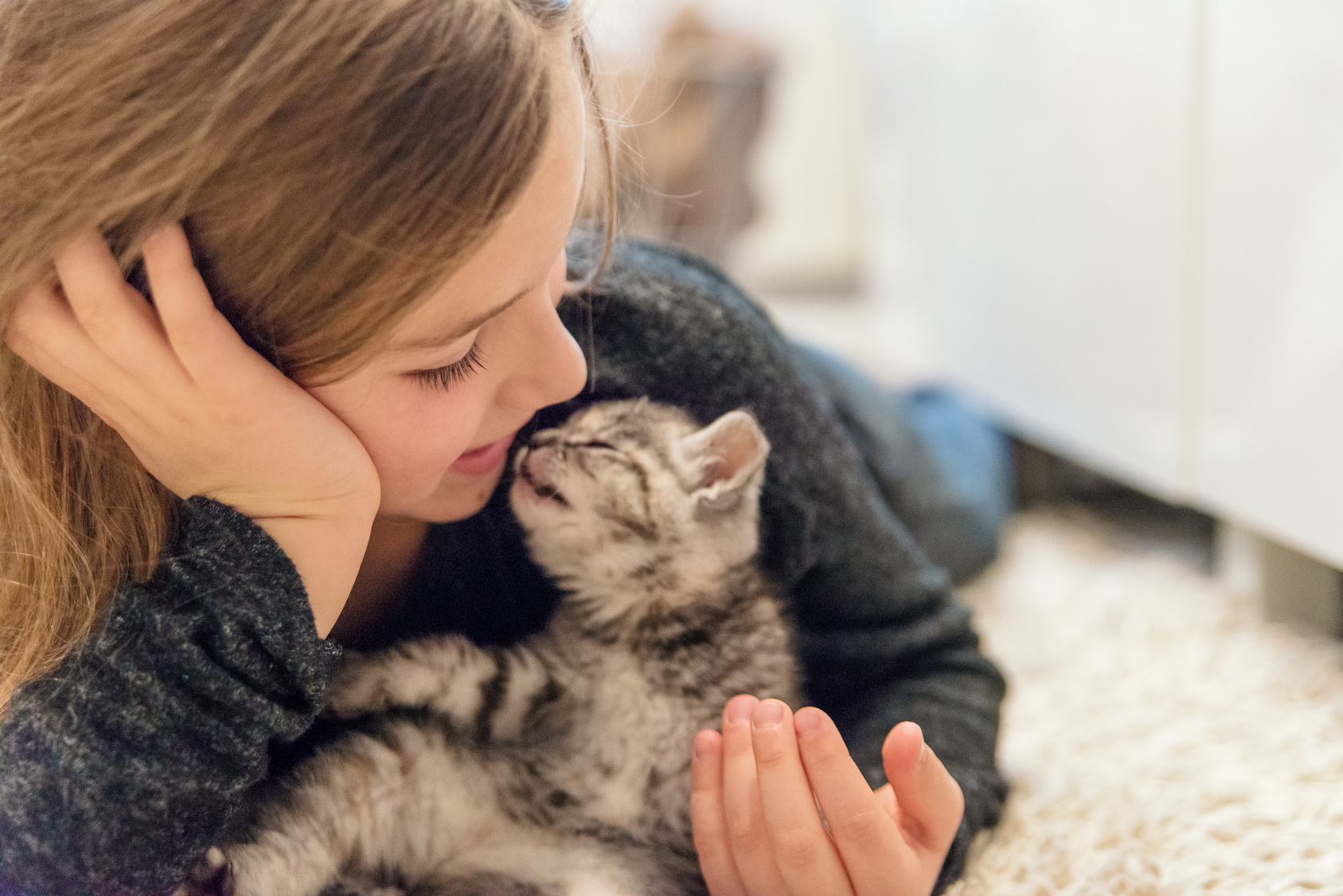 Cat and Child