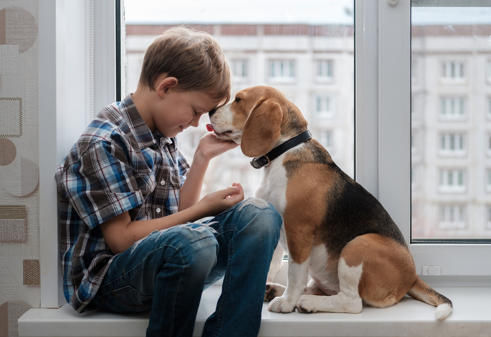 Child and dog cuddling