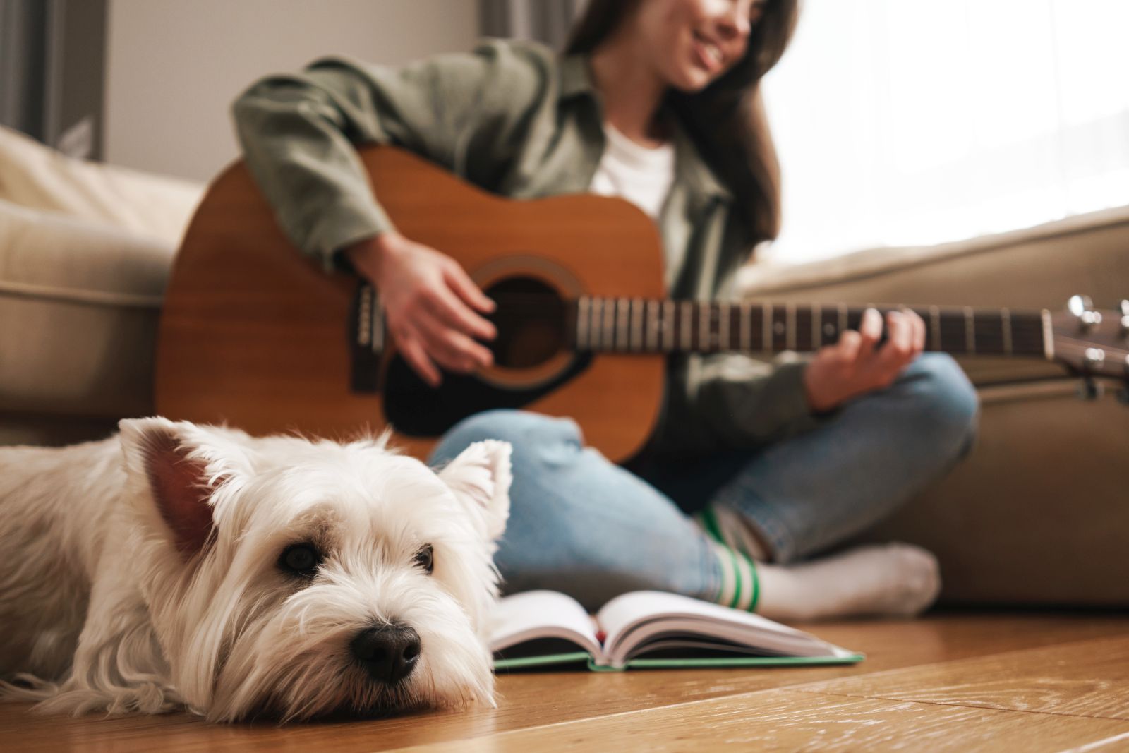 do dogs like soothing music